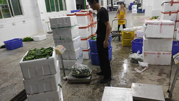 鋁錠碳排放足跡